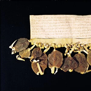 Letter from the prelates and barons of the king promising Louis VIII (1187-1226)