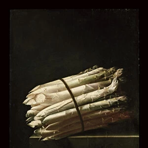 Still Life of Asparagus, 1699 (oil on paper laid on panel)