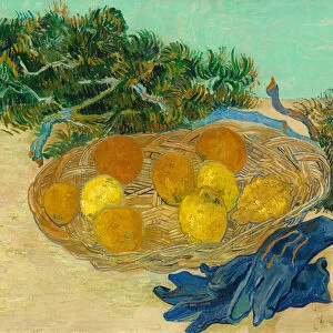 Still Life of Oranges and Lemons with Blue Gloves, 1889 (oil on canvas)