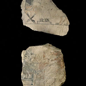 Limestone ostraca with humorous sketches in red and black ink