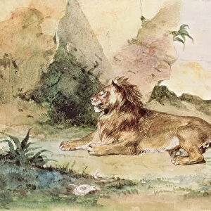 A Lion in the Desert, 1834 (w / c on paper)