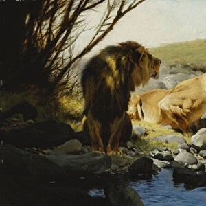 A Lion and Lioness at a Stream, (oil on panel)