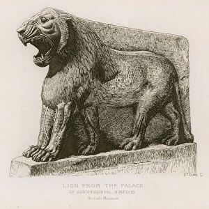 Lion from the palace of Assurnazirpal, Nimroud, British Museum (engraving)