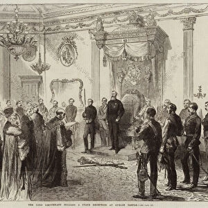 The Lord Lieutenant holding a State Reception at Dublin Castle (engraving)