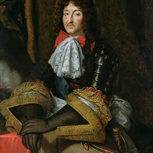 Louis XIV (1638-1715) (oil on canvas)