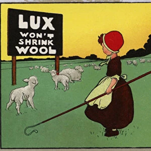 Lux Won t Shrink Wool (colour litho)