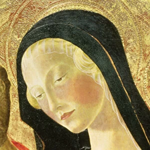 Madonna and Child (tempera on panel) (detail of 9306)