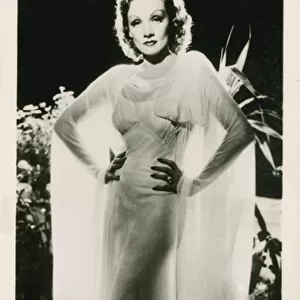 Marlene Dietrich (b / w photo)