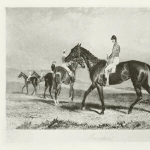 Mincepie, foaled 1853 (b / w photo)