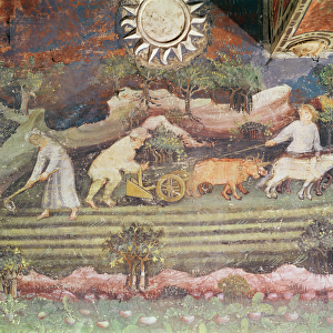 The Month of September, detail of ploughing, c. 1400 (fresco)