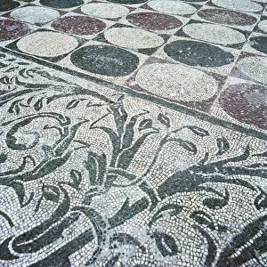 Mosaic Floor from the Hot Baths of Caracalla, begun by Antonius Caracalla (176-217 AD) Roman Emperor in 212 AD (mosaic)