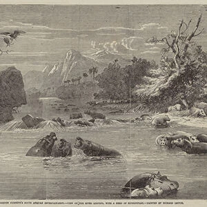 Mr Gordon Cummings South African Entertainment, View on the River Limpopo, with a Herd of Hippopotami (engraving)
