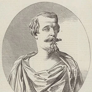 Mr Parks Bust of the Emperor of the French (engraving)
