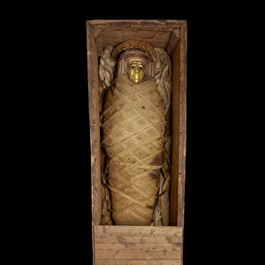 Mummy in coffin, from Hawara (mixed media)