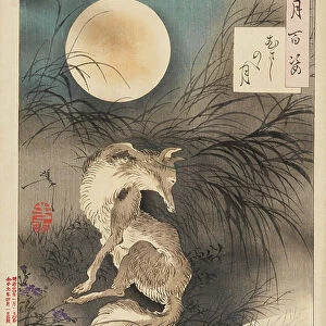 Musashi Plain Moon, 1891-92 (nishiki-e woodblock print, with bokashi)