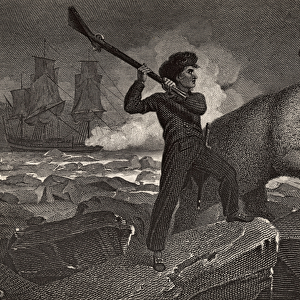 Nelsons encounter with a Bear, illustration from The Life of Nelson