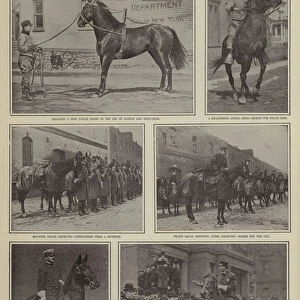 New Yorks Mounted Police and their well-trained horses (b / w photo)