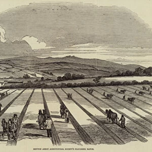 Newton Abbot Agricultural Societys Ploughing Match (engraving)