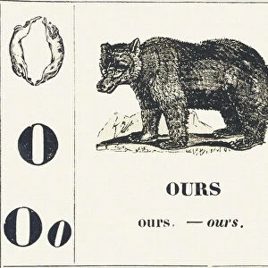 O for Bear, 1850 (engraving)