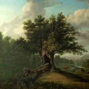 An Oak in Moccas Park, Herefordshire (oil on canvas)