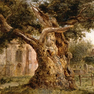 The Old Oak, 1870 (oil on board)