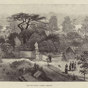 The Old Physic Garden, Chelsea (engraving)