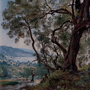 Olive trees at the beginning of the Roquebrune trail, 1892 (oil on canvas)