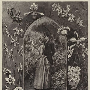 An Orchid Show (engraving)