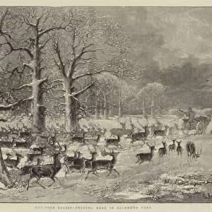 Out-Door Relief, Feeding Deer in Richmond Park (engraving)