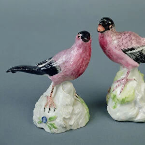 Pair of Bow bullfinches, 1755 (ceramic)