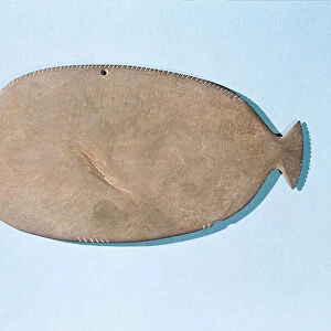 Palette in the shape of a fish, Pre-Dynastic Period (5000-3100 BC) (schist)