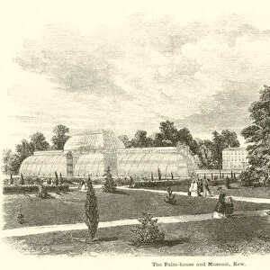 The Palm-house and Museum, Kew (engraving)