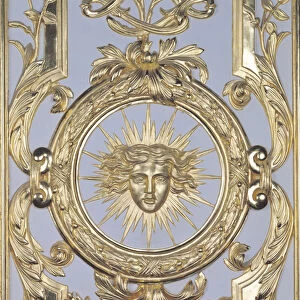 Detail of panelling depicting the emblem of Louis XIV (1638-1715) from the Salon de Venus