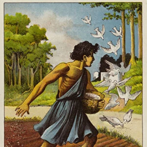 Parable of the sower (chromolitho)
