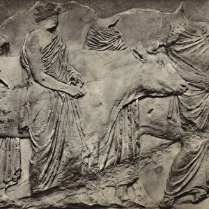 Parthenon sculptures: South frieze, British Museum (b / w photo)