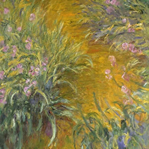 The Path through the Irises, 1914a'17 (oil on canvas)