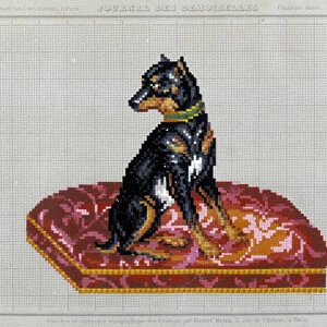 Pattern for cross stitch embroidery (dog) - in "Journal des Demoiselles"