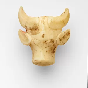 Pendant (pei) in the form of the head of water buffalo, c. 13th-11th century BC (jade)