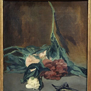 Peonies rod and secateur Painting by Edouard Manet (1832-1883) 1864 Dim