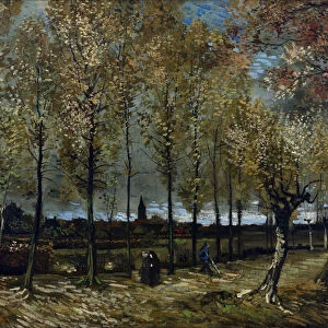 "Peupliers pres de Nuenen, Pays Bas"(Poplars near Nuenen, Netherlands) Peinture de Vincent van Gogh (1853-1890), 1885 Dim 78x98 cm Museum Boijmans Van Beuningen, Rotterdam