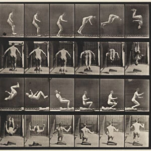 Plate 363. Running Somersault, 1885 (collotype on paper)