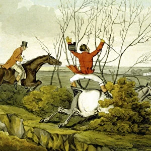 Plunging Through the Hedge, from Qualified Horses and Unqualified Riders