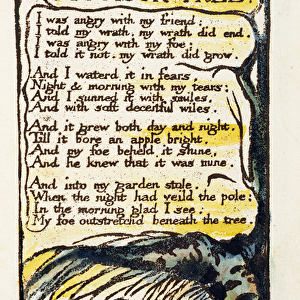 A Poison Tree, plate 50 (Bentley 49) from Songs of Innocence and of Experience