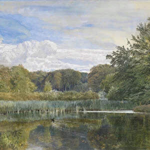 The Mill Pond, Evelyn Woods, 1860 (w / c on paper)
