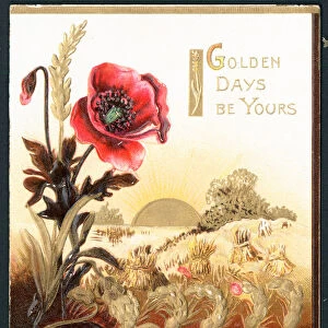 Poppy in field at Harvest Time, Card (chromolitho)
