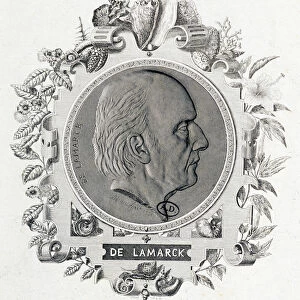 Portrait of Jean Baptiste Lamarck - engraving, 19th century