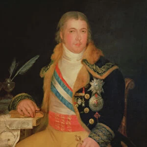 Portrait of Manuel Godoy (oil on canvas)