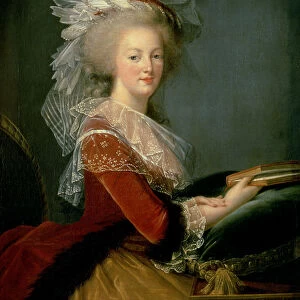 Portrait of Marie Antoinette (1755-93) (oil on canvas)