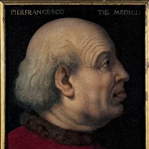 Portrait of Pierfrancesco di Lorenzo de Medicis the Elder (1430-1476