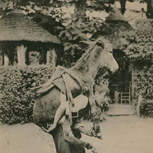 Postcard of a man carrying a donkey, sent in 1913 (b / w photo)